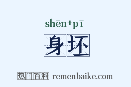 身坯是什么意思的图片